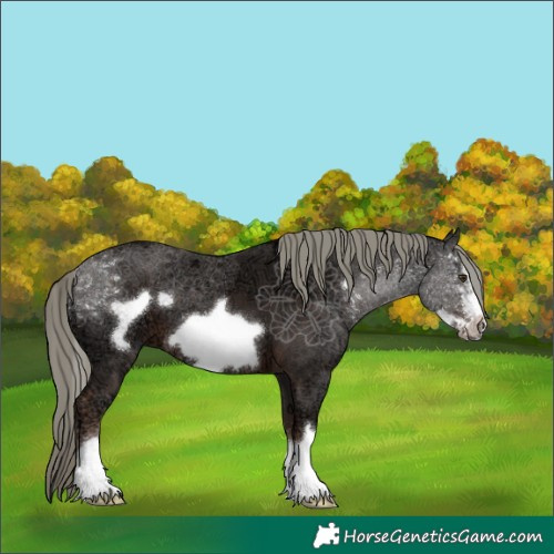 Horse Color:Liver Chestnut Ice Mushroom Frame