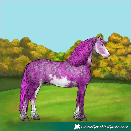 Horse Color:Watercolor Liver Chestnut Ice Sabino Frame