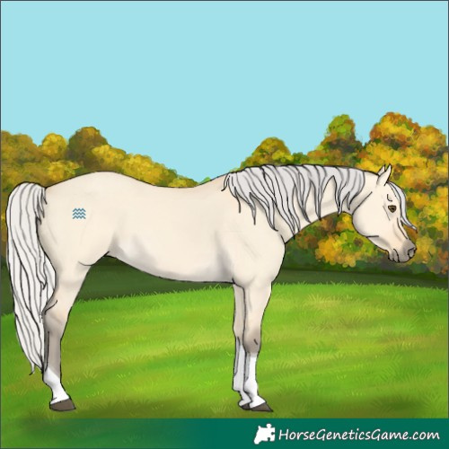 Horse Color:Silver Buckskin Dun Tobiano 