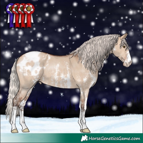 Horse Color:Silver Brown Dun Sabino Appaloosa
