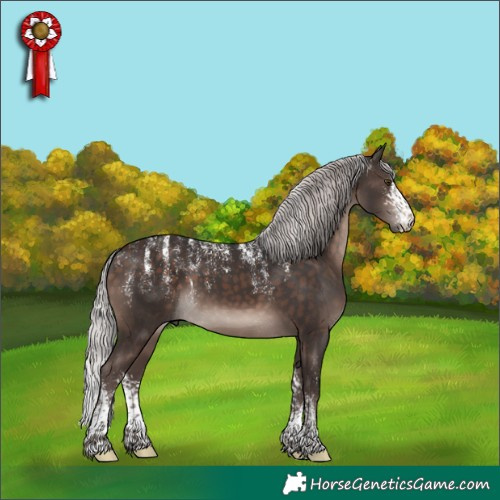Horse Color:Powder White Silver Brown Mushroom Sabino 