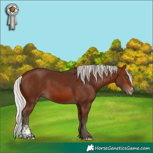 Horse Color:Silver Brown Sabino