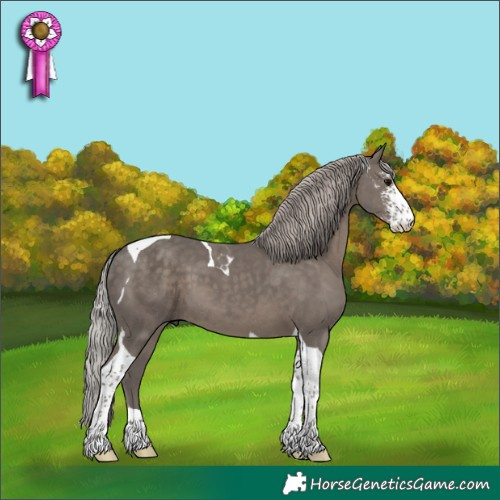 Horse Color:Silver Black Sabino Tobiano 