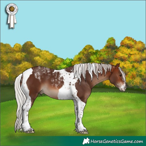 Horse Color:Powder White Silver Brown Tobiano
