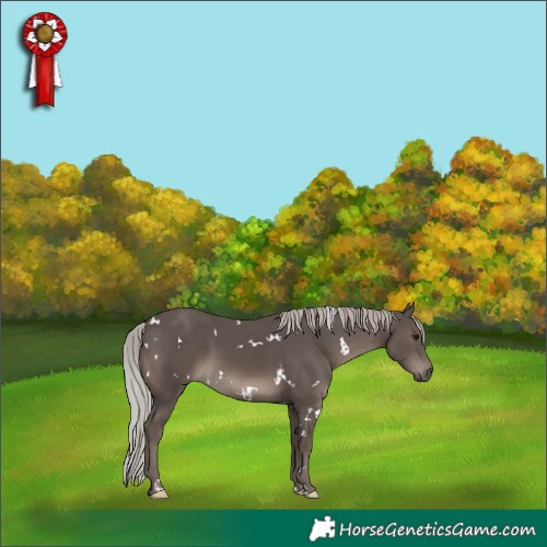 Horse Color:White Spotted Silver Black Mushroom 