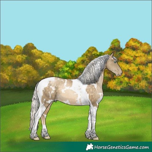 Horse Color:White Spotted Silver Buckskin Pearl Tobiano