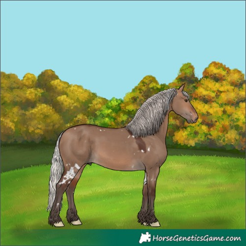 Horse Color:White Spotted Silver Brown Dun Rabicano
