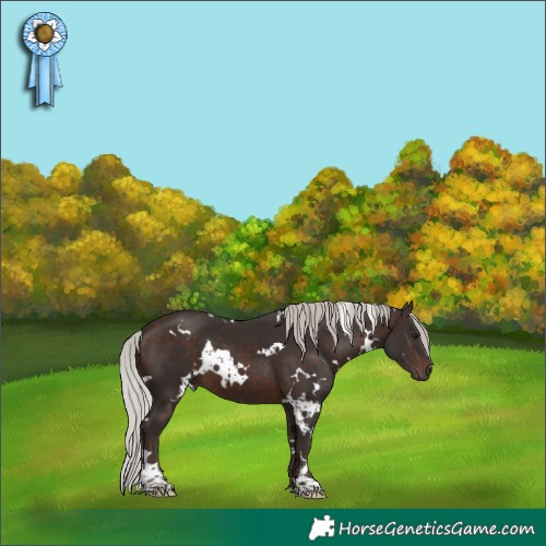 Horse Color:White Spotted Silver Brown 