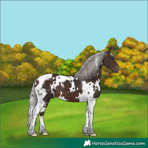 Horse Color:White Spotted Silver Brown Mushroom Tobiano 