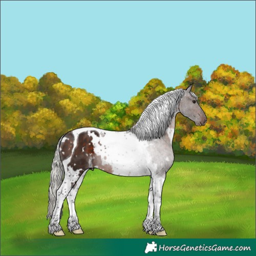 Horse Color:White Spotted Silver Brown Tobiano