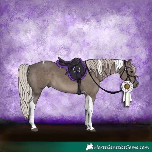 Horse Color:Silver Black Tobiano 