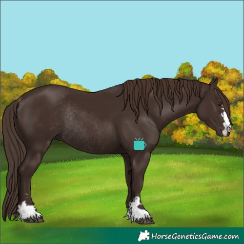 Horse Color:Liver Chestnut Rabicano