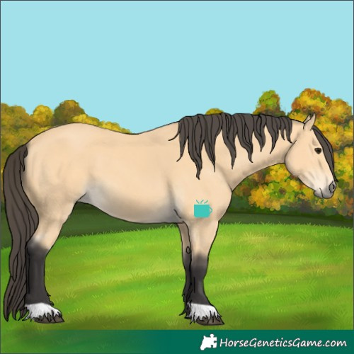 Horse Color:Buckskin 