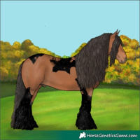 Horse Color:Void Bay Tobiano 