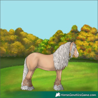 Horse Color:Silver Classic Champagne 