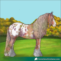 Horse Color:Nacre White Spotted Chestnut Blanket Rabicano