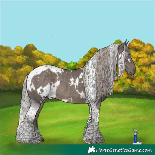 Horse Color:White Spotted Silver Black Tobiano Rabicano