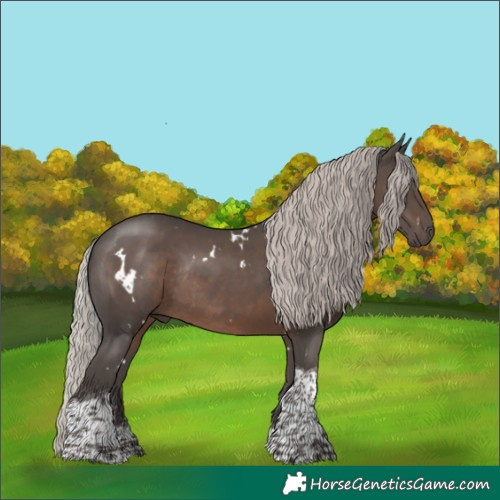 Horse Color:White Spotted Silver Black Tobiano Rabicano 