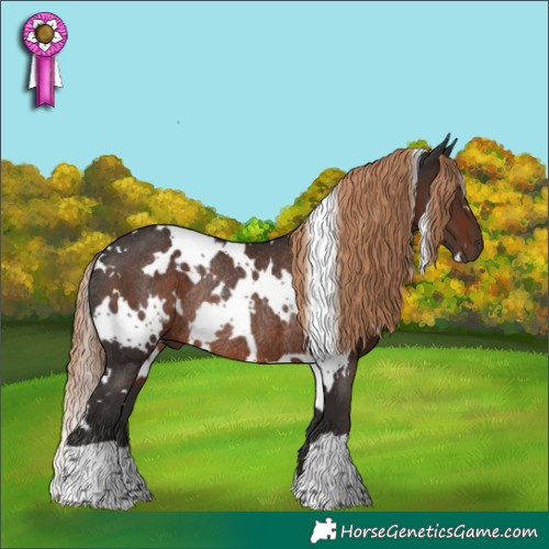 Horse Color:White Spotted Liver Chestnut Rabicano
