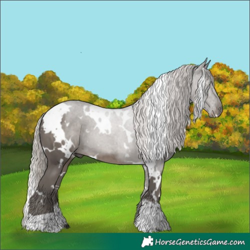 Horse Color:White Spotted Silver Black