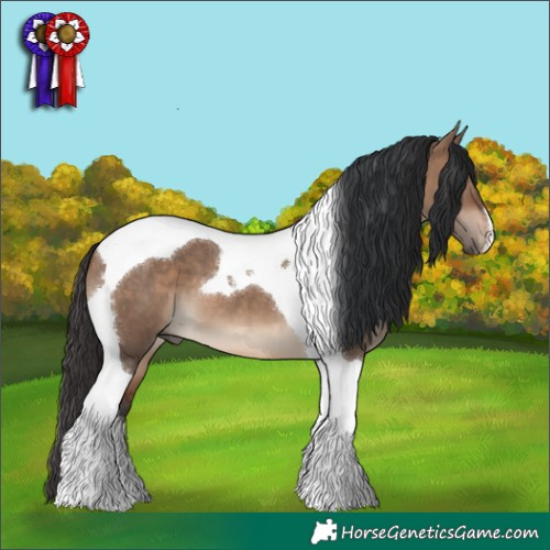 Horse Color:Brown Dun Tobiano 