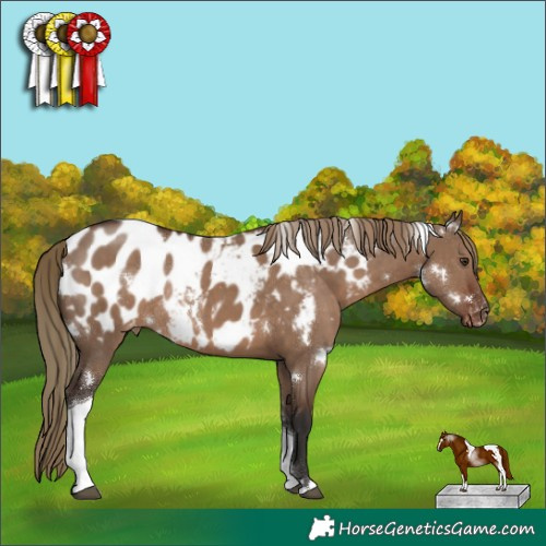 Horse Color:White Spotted Liver Red Dun Tobiano Blanket Rabicano
