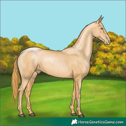 Horse Color:Chestnut Pearl