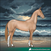 Horse Color:Chestnut Pearl Tobiano