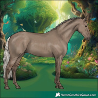 Horse Color:Silver Grullo 