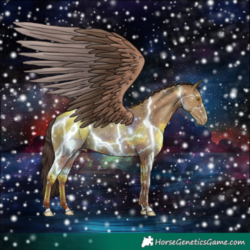 Horse Color:Classic Champagne Blanket 