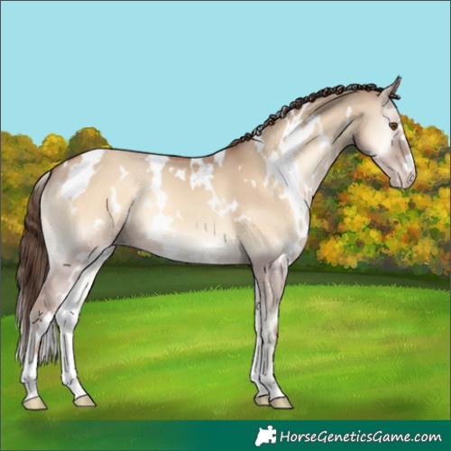 Horse Color:White Spotted Classic Champagne Onyx 