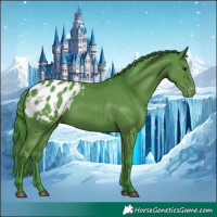 Horse Color:Watercolor Black Blanket 