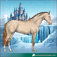 Horse Color:Red Dun Blanket Rabicano 