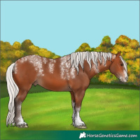 Horse Color:Powder White Silver Bay 