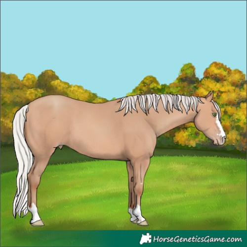 Horse Color:Silver Amber Champagne 