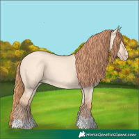 Horse Color:Gold Champagne Dun 