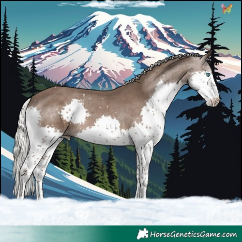 Horse Color:Silver Black Splash Tobiano 