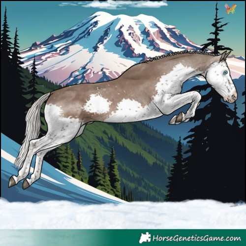 Horse Color:Silver Black Splash Tobiano