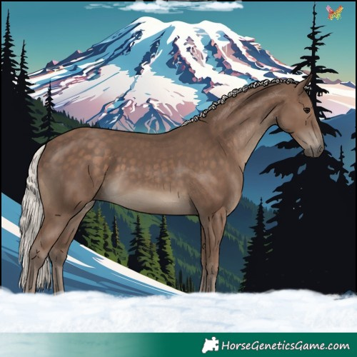 Horse Color:Silver Black