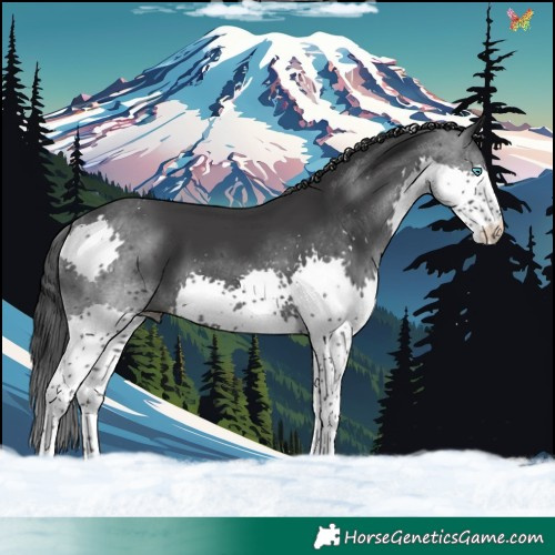 Horse Color:Black Splash Tobiano 