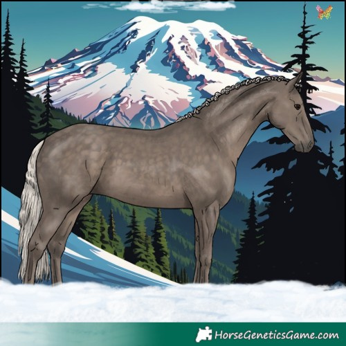 Horse Color:Silver Black
