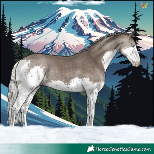 Horse Color:Silver Black Splash Tobiano 