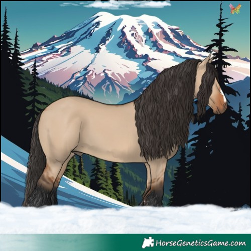 Horse Color:Bay Dun