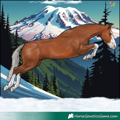 Horse Color:Silver Bay Splash