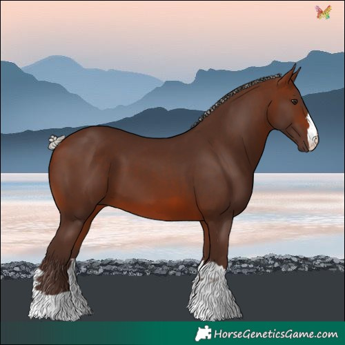 Horse Color:Silver Brown 