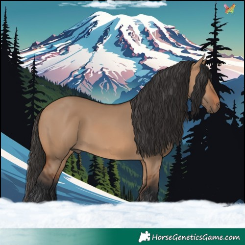 Horse Color:Bay Dun 