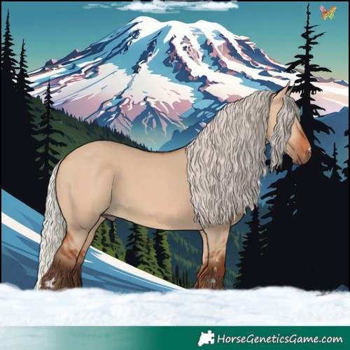 Horse Color:Silver Bay Dun