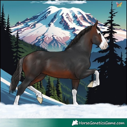 Horse Color:Brown Splash