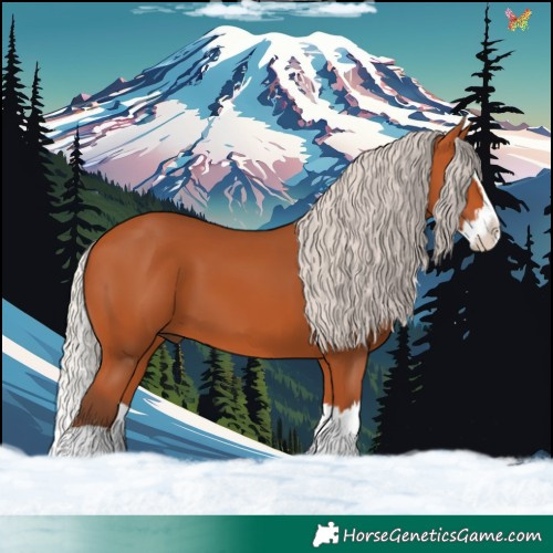Horse Color:Silver Bay Splash 