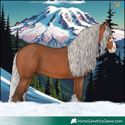 Horse Color:Silver Bay Splash 